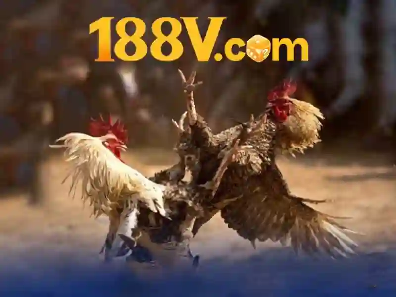 <!--IMG_PLACEHOLDER alt=Danh sach cac giai dau bong da lon duoc phan tich tai 