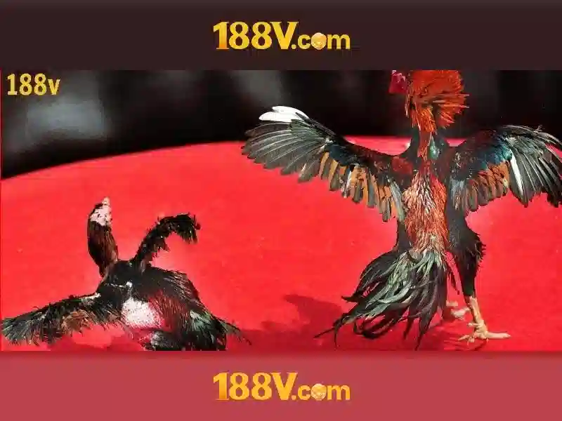 Xác thực danh tính và KYC tại 188v