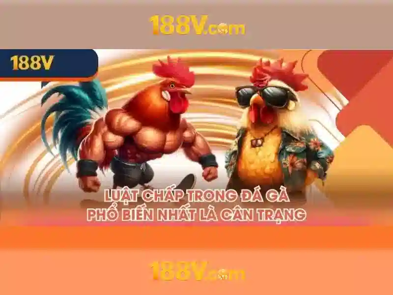Giới thiệu về 188v Giới thiệu về 188v