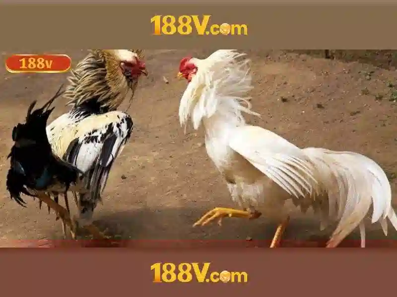188v: Khởi đầu với ngưỡng điện huyền ảo