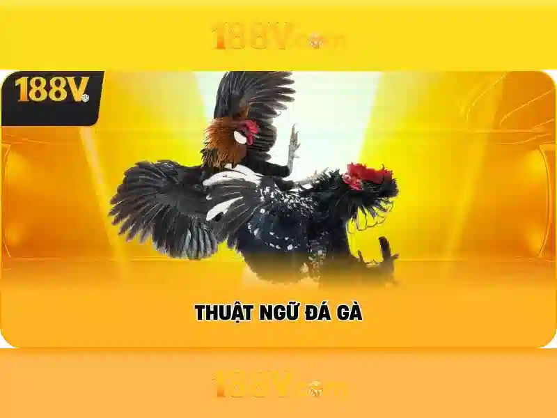 Hình minh hoạ quy trình rút tiền 188v