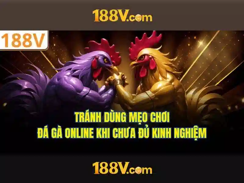 Nguồn gốc và ý nghĩa
