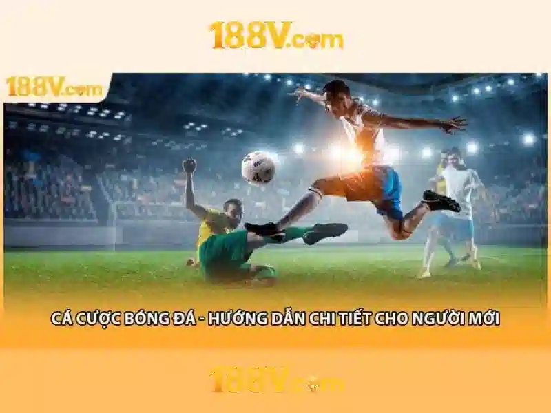 Ứng dụng và ảnh hưởng Ứng dụng và ảnh hưởng