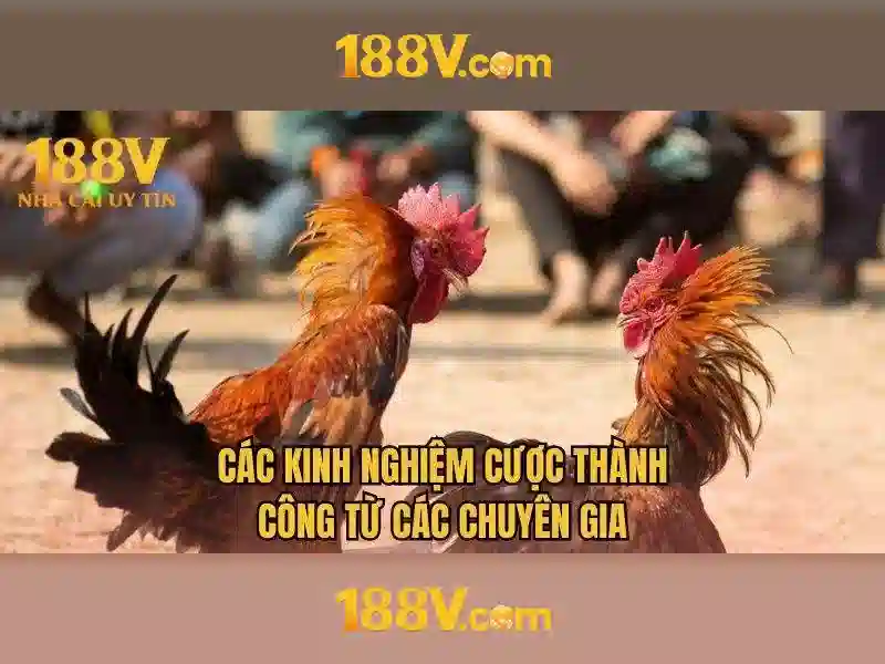 188v: Khai niem va Ung dung cua mot Khoi niem
