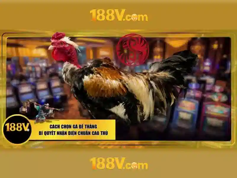 code 188v – Tổng quan và giá trị cốt lõi code 188v – Tổng quan và giá trị cốt lõi