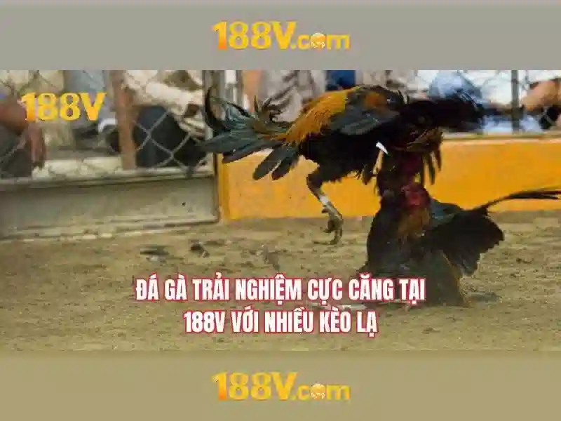 Khám phá 188v: một hành trình của ký ức và sáng tạo