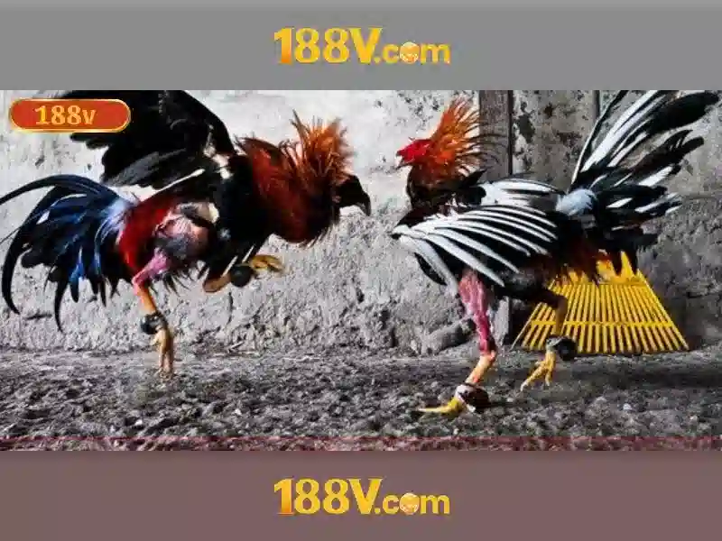 Sản phẩm và dịch vụ cốt lõi: ứng dụng slot 188v