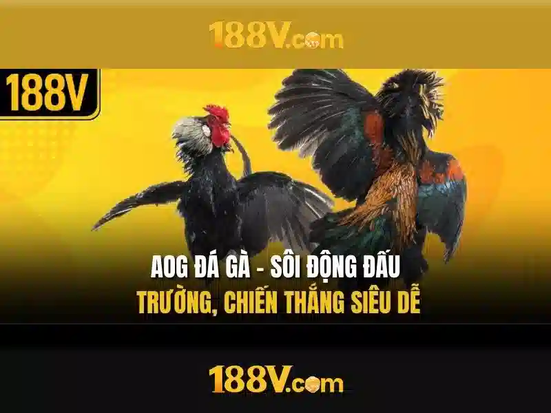 Khám phá 188v Khám phá 188v