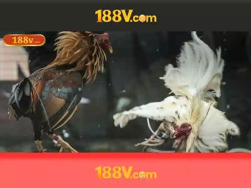 Khám phá 188v: khái niệm, nghệ thuật và công nghệ