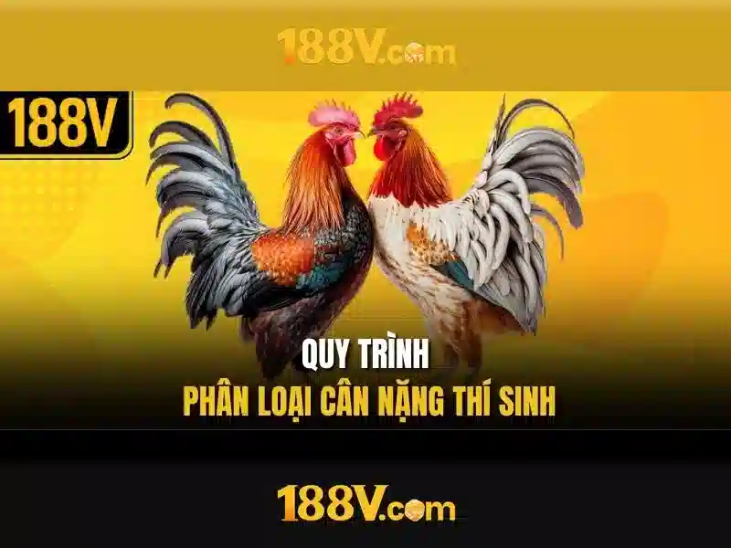 188v: một khái niệm sáng tạo và hành trình khám phá