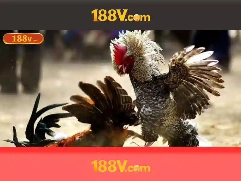188v: Sự hòa quyện giữa số và vận tốc