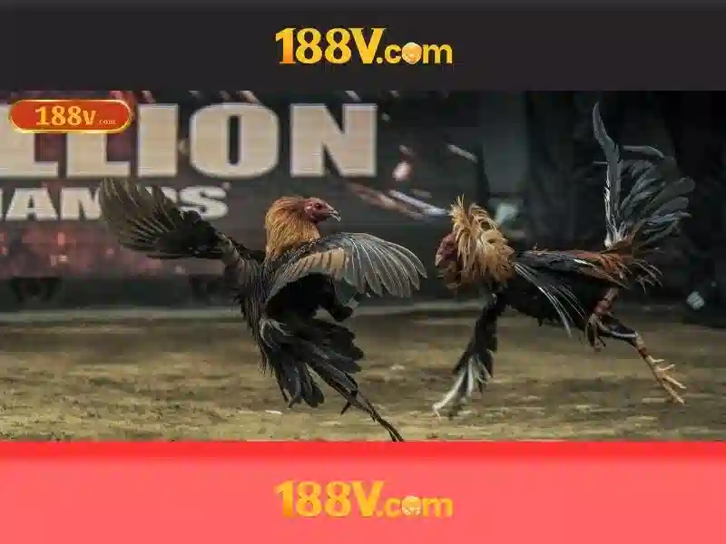 Khái niệm cơ bản về 188v Khái niệm cơ bản về 188v