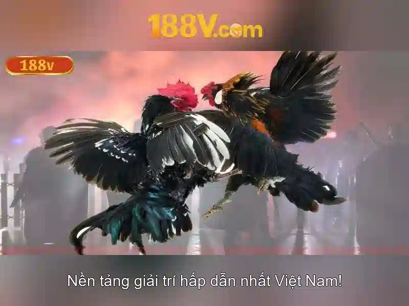 Khám phá 188v: một khái niệm và hành trình