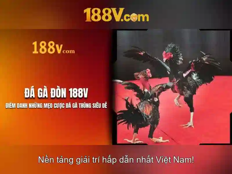 Khám phá 188V: định nghĩa và ứng dụng