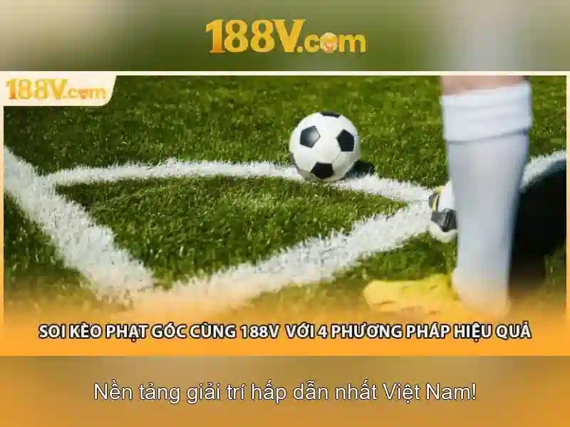 Kết luận và mẹo kiểm tra Kết luận và mẹo kiểm tra