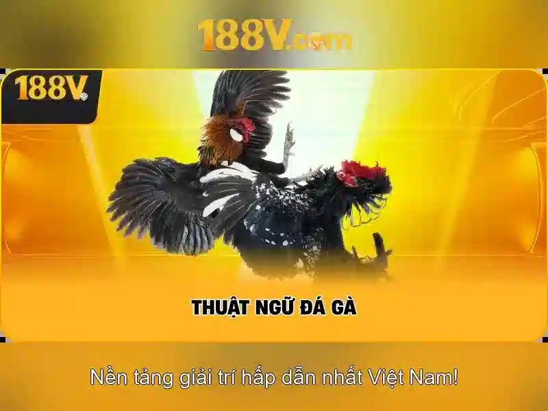 Ý nghĩa và ứng dụng của 188V Ý nghĩa và ứng dụng của 188V