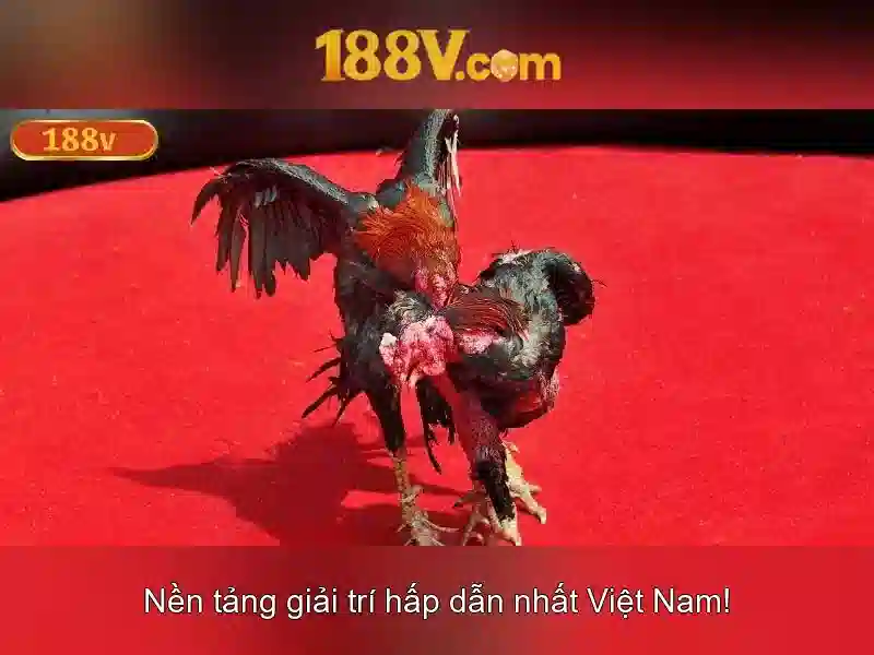 Nội dung và ứng dụng