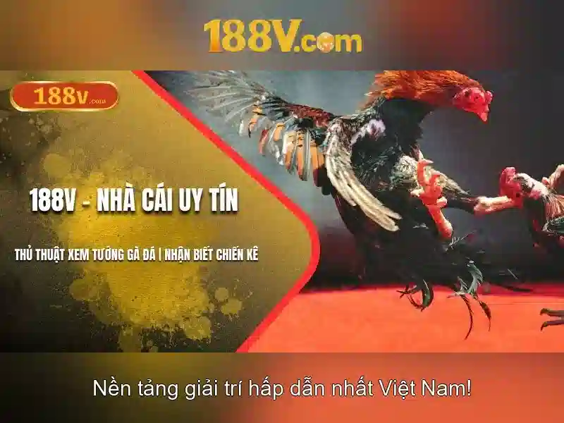Âm thanh, hình ảnh và dữ liệu