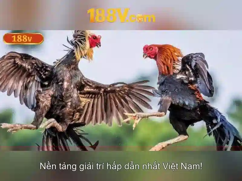 Khám phá 188v: cầu nối giữa nghệ thuật và công nghệ