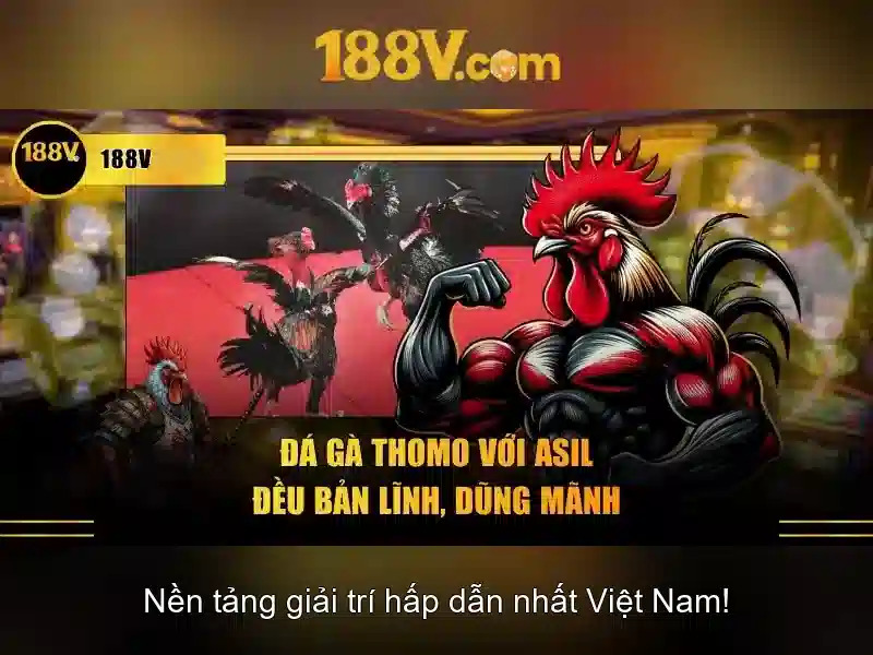 188v: một khái niệm và câu chuyện số