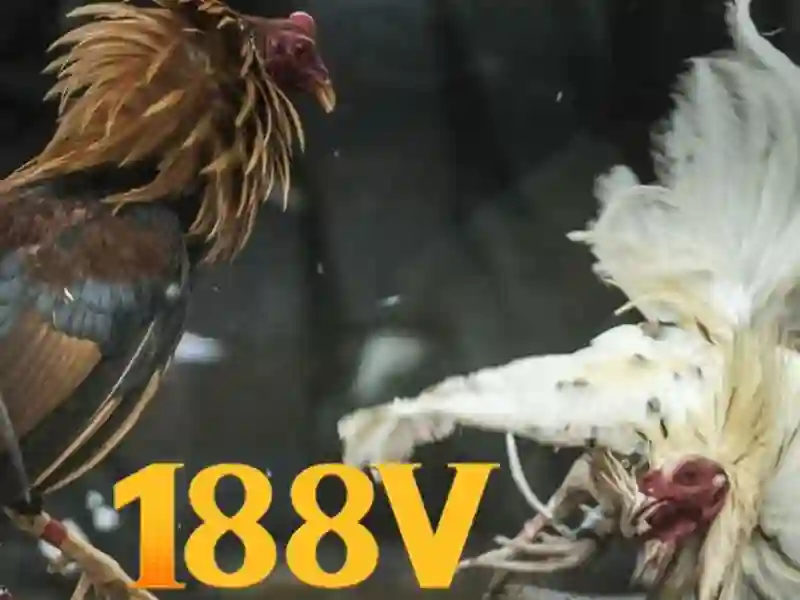 188v: một khái niệm về năng lượng và cảm hứng