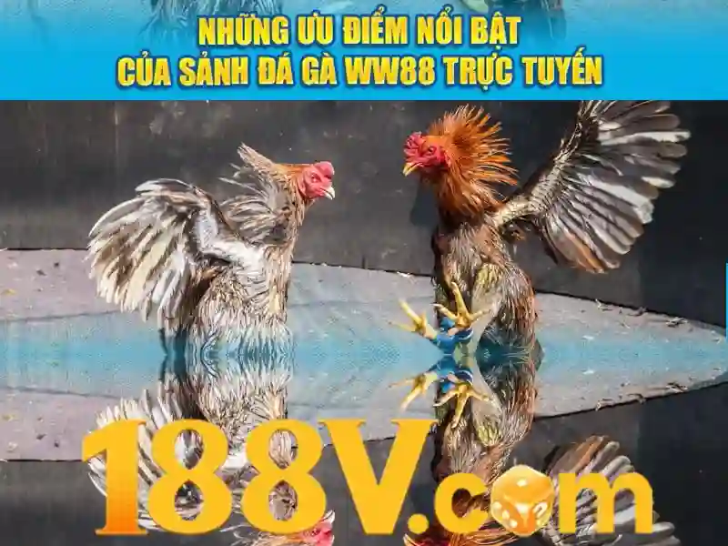 Khám phá rút thưởng 188v Khám phá rút thưởng 188v